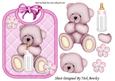 Gorgeous Little Pink Bear on a Bib Holding Bottle