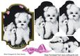 Cute Little Westies with Flowers and Bow Bracket Pyramids