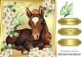 Pretty Foal Laying Down with Flowers& Butterflies 8x8