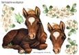Pretty Foal Laying Down with Flowers & Butterflies A4