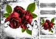 Pretty Red Roses and White Butterflies in Vintage Frame 8x8