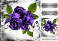 Pretty Purple and White Butterflies in Vintage Frame 8x8