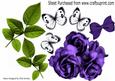 Prpretty Purple Roses and White Butterflies Green Leaves A4
