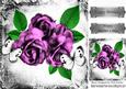 Pretty Pink Roses and White Butterflies in Vintage Frame 8x8