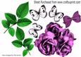 Pretty Pink Roses and White Butterflies Green Leaves A4