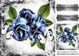 Pretty Blue Roses and White Butterflies in Vintage Frame 8x8
