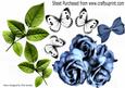 Pretty Blue Roses and White Butterflies Green Leaves A4