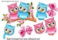 Cute Pink/blue Owls on a Branch with Blossoms A4