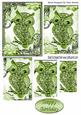 Cute Green Diamante Owl with Flowers Pyramids