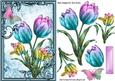 Pretty Painted Rainbow Tulips with Butterfly