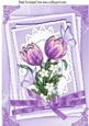 Painted Lilac Tulips on Lace Stacker Frame with Bow A4