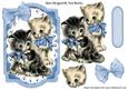 Vintage Kittens with Blue Bows on a Frame with Lace
