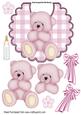 Cute Pink Teddy on a Gingham Bib with Bottle A4