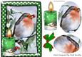 A Lovely Robin with Red Berries in the Snow Oval Pyramids
