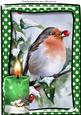 A Lovely Robin with Red Berries in the Snow with Candle A4