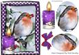 Lovely Robin with Purple Candle in the Snow