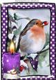 Lovely Robin with Purple Candle in the Snow A4