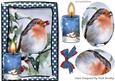 Lovely Robin with Blue Candle in the Snow