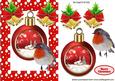 Cute Robin with Christmas Bauble with Snow Scene
