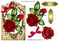 Red Roses on a Tag with Script Writing