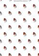 Little Red Robins Backing Paper