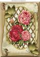Pretty Roses on Lattice Frame on a Scroll & Butterflies A4