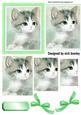 Cute Grey Kitten with Bows Pyramids