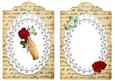 Hand Holding Red Rose on Lace Tag Insert