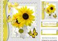 Pretty Yellow and White Sunflowers with Butterflies 8x8