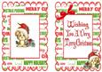 Cute Puppy in Santa Hat with Pressies A5 Insert