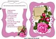 Pink Rose with Envelope on Lace Bracket Card/verse