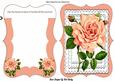 Pretty Peach Rose on Layered Lace Bracket Card