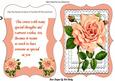 Pretty Peach Rose on Layered Lace Bracket Card Verse