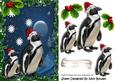 Penguins in the Snow Wearing Santa Hats with Holly