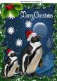 Penguins in the Snow Wearing Santa Hats with Holly A4
