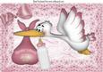 Special Delivery Stork with Baby Girl & Bottle A4