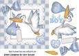 One Beautiful Baby Boy, Special Delivery with Stork 7x7