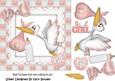 One Beautiful Baby Girl, Special Delivery with Stork 7x7