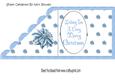Pretty White Dove with Blue Poinsettias Over the Edge Verse