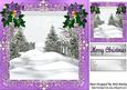 Pretty Trees in the Snow, with Holly and Purple Bow 8x8