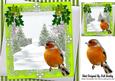 Christmas Tree and Snow with Robin,lime Bows 8x8