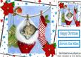 Cute Kitty in Fluffy Hanging Santa Sock 8x8