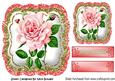 Pretty Pink Roses in Glitter Frame 8x8