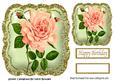Pretty Peach Roses in Glitter Frame 8x8