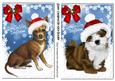 Cute Little Chihuahua & Lhasa Puppies in Santa Hats