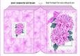 Pink Chrysanthemums on Lace with Bow Folded Book