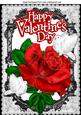 My Valentine, Red Rose, and White Doves, Black Lace A4