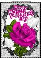My Valentine, Cerise Rose, and White Doves, Black Lace A4