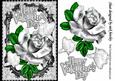 My Valentine, Silver Rose and White Doves Black Lace Frame