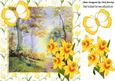 Spring is Here! Pretty Woodland with Daff & Butterfly 8x8